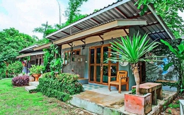 Ngày tôi quyết định bán căn nhà ở phố về quê sống, hàng xóm chê cười, Tết năm nay họ lại ngại ngùng nhìn tôi khâm phục