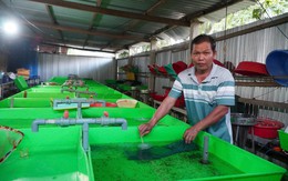 Thầy giáo dạy Sinh thu 2 tỷ đồng/năm từ bầy "quái vật" không vảy trong bóng tối