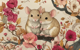 Tử vi ngày mới 23/2: 3 con giáp may mắn bậc nhất, quý nhân trợ giúp, tài vận hanh thông