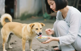 Mẹ chồng ngày nào cũng ép con dâu uống canh cá, cho đến một lần...