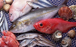 Cảnh báo: 5 loại cá có nguy cơ nhiễm kim loại nặng cao, ăn nhiều có thể hại sức khỏe