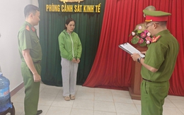 Khởi tố, khám xét nơi ở của nữ giám đốc Châu Thị Mộng Thi