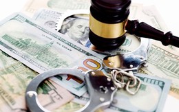 Cựu Tổng Giám đốc Sen Tài Thu chi 26 tỷ đồng 'chạy án'