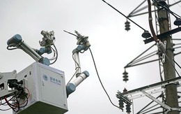 Tử thần "chào thua" đường dây 10 kV: Robot Trung Quốc lần đầu thay thế con người sửa điện trực tiếp!