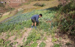 Từ lương 1,9 tỷ đồng/năm xuống còn 22 triệu đồng/tháng: Người đàn ông có học vị tiến sĩ nói mình mới là "kẻ chiến thắng" thực sự