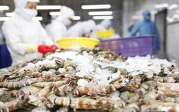 Mỹ giảm mạnh thuế chống bán phá giá, tôm Việt Nam vẫn gặp áp lực từ 1 đối thủ lớn