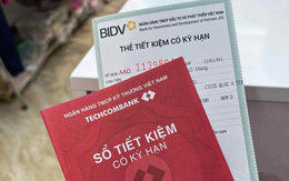 Bao nhiêu người Việt Nam đang có tiền gửi tiết kiệm tại ngân hàng?