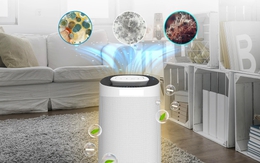 Cứ dùng máy hút ẩm kiểu này thì bảo sao "ngốn" điện, phòng lâu khô