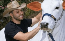 Đây là con bò đắt nhất thế giới với trọng lượng hơn 1 tấn và có giá hơn 4 triệu USD