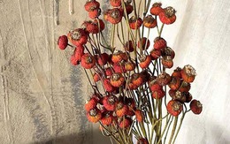 Tháng Giêng giữ 4 thứ này trong nhà: Xui xẻo đủ đường, tài lộc công danh bị chặn đứng