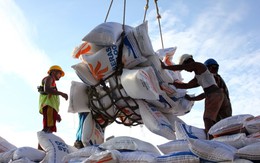 Nước ASEAN nói dừng nhập gạo nhưng giờ lại bất ngờ tính mua gạo Mỹ