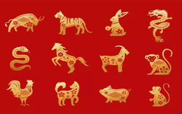 4 con giáp may mắn bậc nhất trong tháng 2 âm: Sự nghiệp thăng tiến, tài lộc đủ đầy, tình duyên viên mãn