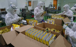 Một ‘đại bàng’ Nhật Bản chọn Việt Nam xây tổ, nước ta trở thành trung tâm xuất khẩu đi 12 nước