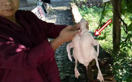 Mổ vịt cúng Tết, người đàn ông sững sờ nhận được “lì xì” trời ban