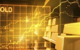 Nên thiết kế sàn giao dịch vàng theo mô hình nào?