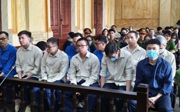 Bột đạm, bột huyết động vật nhiễm dịch tả lợn Châu Phi "tuồn" vào thị trường: Cán bộ thú y hầu toà