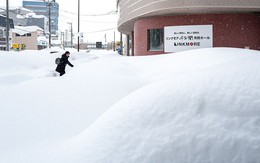 Thảm họa tuyết trắng tại Nhật Bản: Tuyết rơi dày khiến 30 người thiệt mạng, 324 người bị thương 