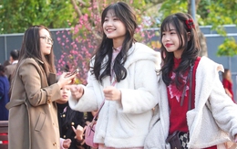 Dự báo thời tiết Tết Nguyên đán 2026 mới nhất