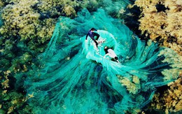 Việt Nam có "mỏ vàng dưới nước", mang về gần 900 triệu USD trong tháng 1: Trung Quốc, Nhật Bản ồ ạt mua