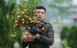 Dự báo thời tiết ngày 4/2: Miền Bắc rét đậm cục bộ, trưa chiều nắng ấm