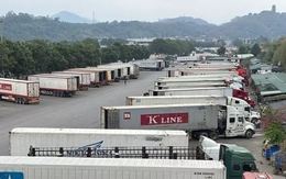 Thủ tướng chỉ đạo 'nóng' về thông quan hàng hóa