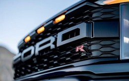 Sống đủ lâu để đợi được đến ngày này: Ford sắp cho một hãng xe Trung Quốc 'mượn' nhà máy để sản xuất, vượt thuế quan châu Âu