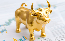 Nhiều ngân hàng lớn lên tiếng: Vàng vẫn còn vài lần lập đỉnh, giá 'lên rồi lại xuống' chỉ là điều chỉnh tạm thời trong chu kỳ tăng giá dài hạn