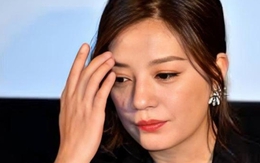 Nguyên nhân thực sự khiến Triệu Vy ly hôn chồng đại gia: Bị kiểm soát gắt gao, “cắm sừng” đầy cay đắng