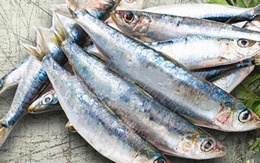 7 loại cá tích tụ thủy ngân nhiều bậc nhất