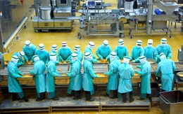 Công trình 30.500 tỷ đồng "tầm cỡ quốc tế" tại Đồng Nai: Bước nhảy vọt tiến vào nông nghiệp sâu toàn cầu