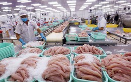 Ngành kinh tế tỷ đô của Việt Nam khởi sắc, Trung Quốc đóng vai trò then chốt
