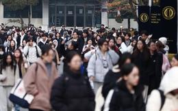 3 ngành học sẽ trở thành "mỏ vàng" trong 5 năm tới, AI khuyên tìm hiểu ngay