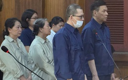 Xét xử vụ cựu giám đốc Trung tâm Ứng dụng tiến bộ KH&CN TPHCM “xẻ thịt đất công"