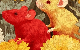 Tử vi ngày 10/2: Trời xanh an bài, 3 tuổi này bước chân ra ngõ là gặp quý nhân, công việc trôi chảy như thuyền xuôi gió