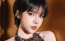 Quá khứ của "chị Bờ Vai" đem 300 tỷ về cho Trấn Thành