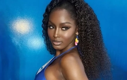 Một hoa hậu bị tạm giam