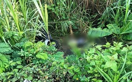 Nam thanh niên 22 tuổi mất liên lạc sau khi chụp ảnh gửi bạn bè: Bất ngờ nơi tìm thấy thi thể