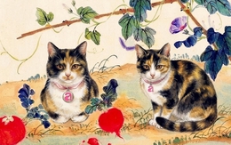 Càng trầm tĩnh càng lắm tiền: 4 con giáp "chê" thị phi, chỉ thích âm thầm làm giàu, đúng 3 tháng tới phát triển rực rỡ