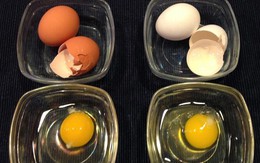Trứng vỏ trắng hay vỏ nâu tốt hơn? Đáp án khiến nhiều người bất ngờ