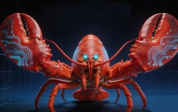 Con "tôm hùm" không ăn được đã gieo rắc nỗi lo lắng cho nhiều người Trung Quốc: Lý do là gì?