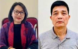 Hai cựu Cục trưởng Cục An toàn thực phẩm kháng cáo xin giảm nhẹ hình phạt