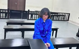 Lừa mang thai hộ, chiếm đoạt hơn 1 tỷ đồng của cặp đôi hiếm muộn