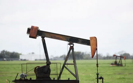 Các nước châu Á chuẩn bị chốt thỏa thuận năng lượng 30 tỷ USD với Mỹ