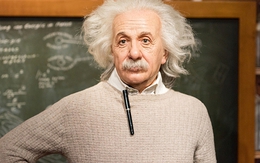 Có thật là Albert Einstein đã nói: "Không thể bắt con cá leo cây"?