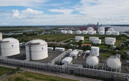 Nghệ An lập tổ đặc nhiệm cho Siêu dự án 60.000 tỷ: Cuộc chơi lớn bất ngờ của 'người đàn bà sữa' Thái Hương