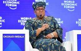 Thương mại toàn cầu đối mặt khủng hoảng nghiêm trọng nhất trong 80 năm qua