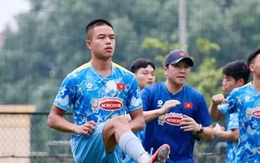 Nguồn lực Việt kiều tại các đội tuyển trẻ Việt Nam