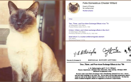 Chú mèo uyên bác nhất lịch sử là đồng tác giả 3 công trình vật lý và được mời làm việc tại đại học