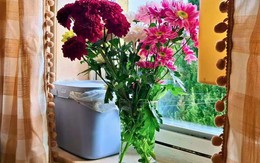 Mua hoa về cắm, đừng bao giờ đặt ở vị trí này trong nhà