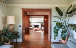 3 loại cây "hút" tài lộc và may mắn, rất nên trồng trong nhà